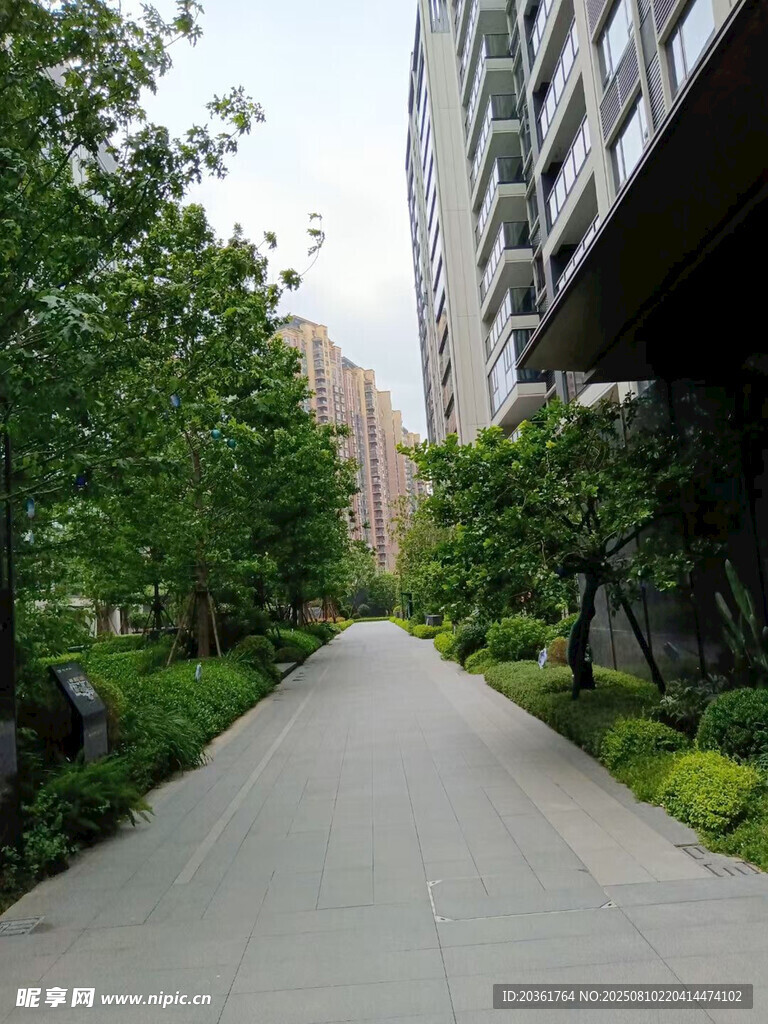 小区内幽静的林荫步道