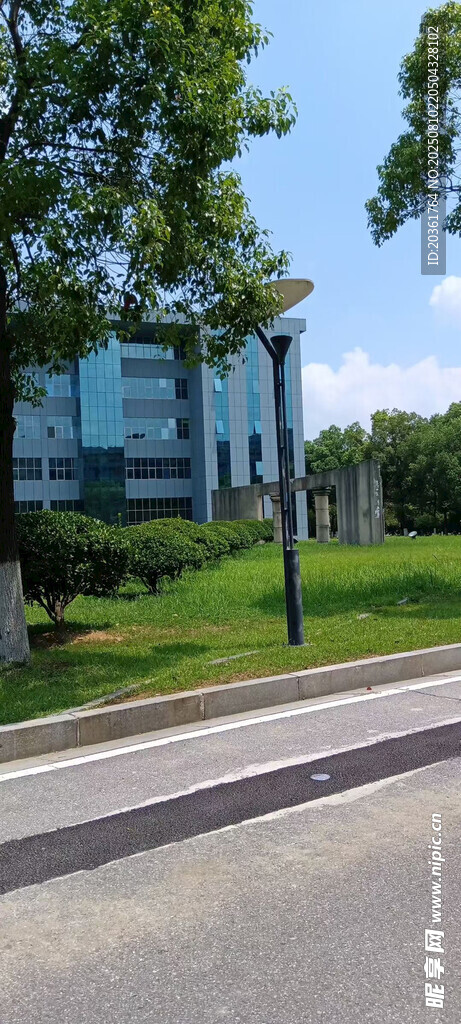 城市中的林荫道路景观
