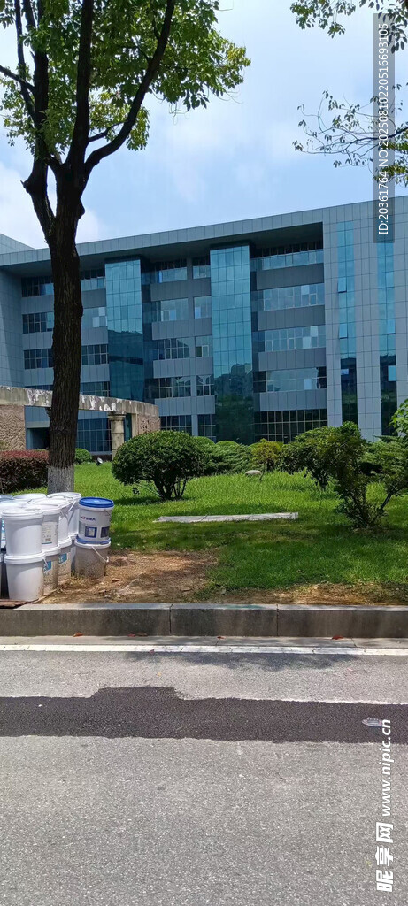 现代办公楼外的绿化景观