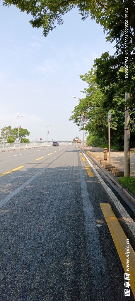 宽阔公路旁绿树成荫