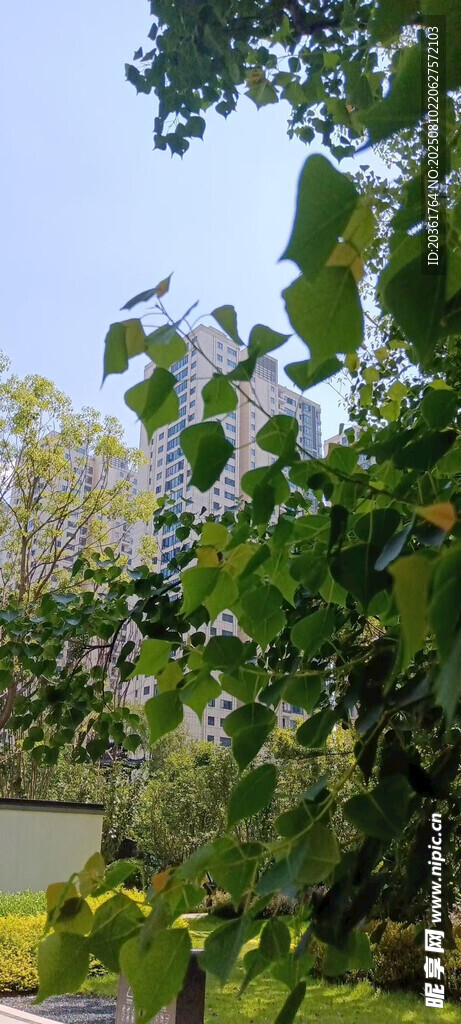 繁花绿树间的自然景致