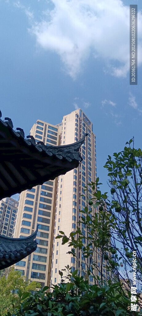 中式屋檐旁的现代高楼