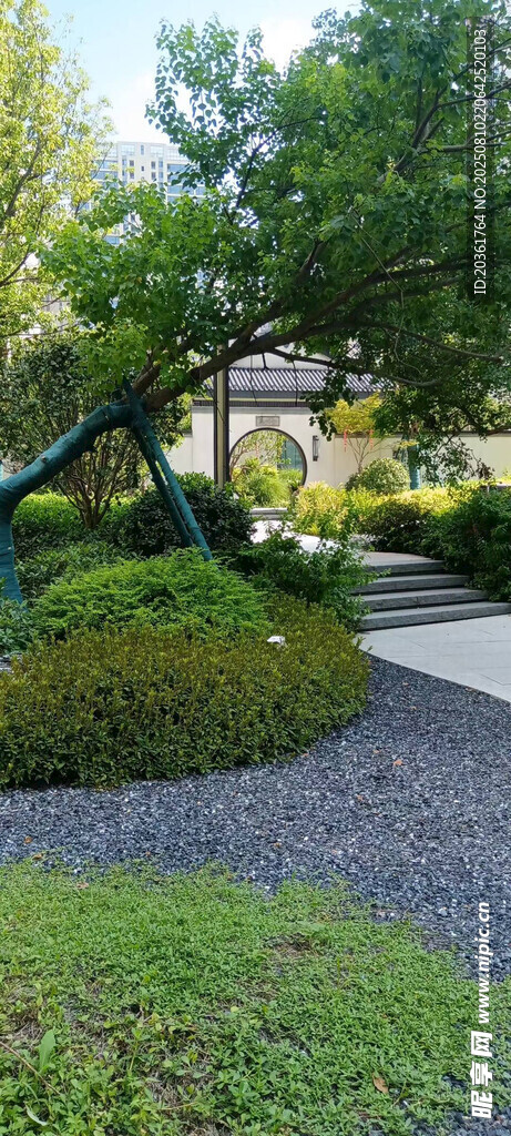 庭院绿植景观小径