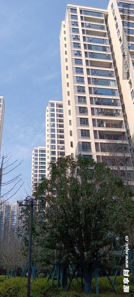 城市高楼与绿植景观