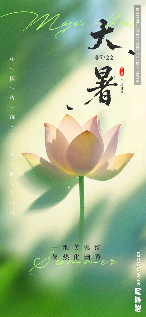大暑海报