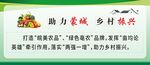助力乡村振兴宣传展板