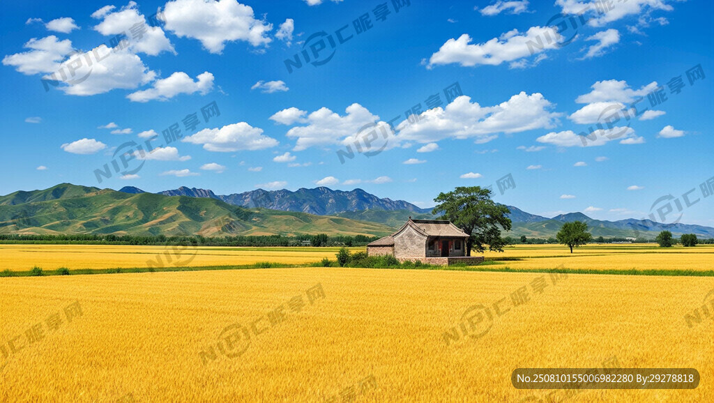 河南专版同步作文