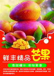 鲜丰精品芒果