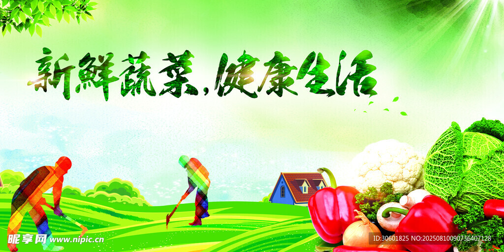 新鲜蔬菜