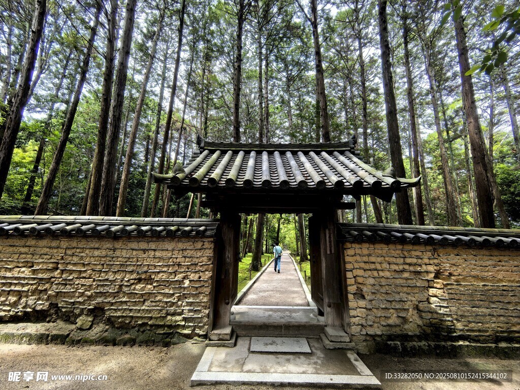 林间古亭静谧清幽之景