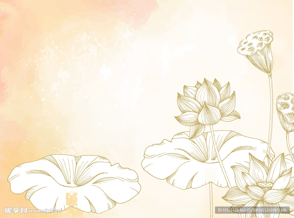 古典荷花图案