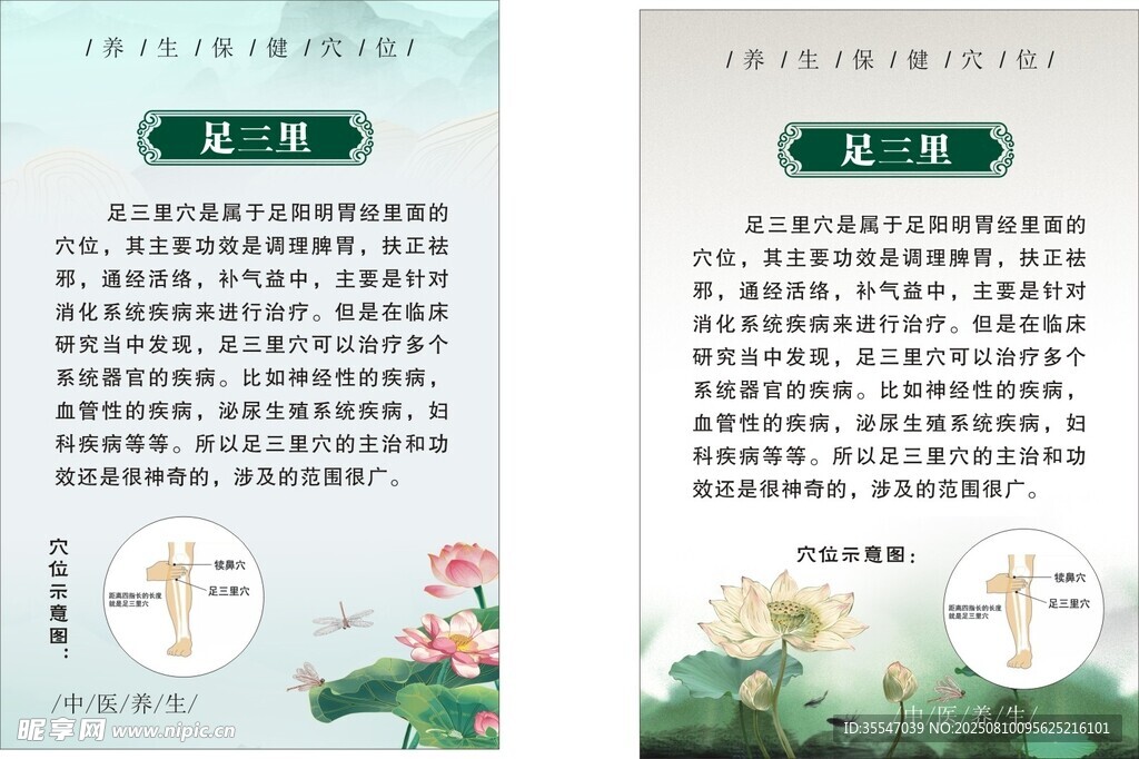 中医穴位简介