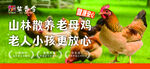 烧鸡门头灯箱