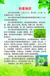 救心菜养心菜土三七