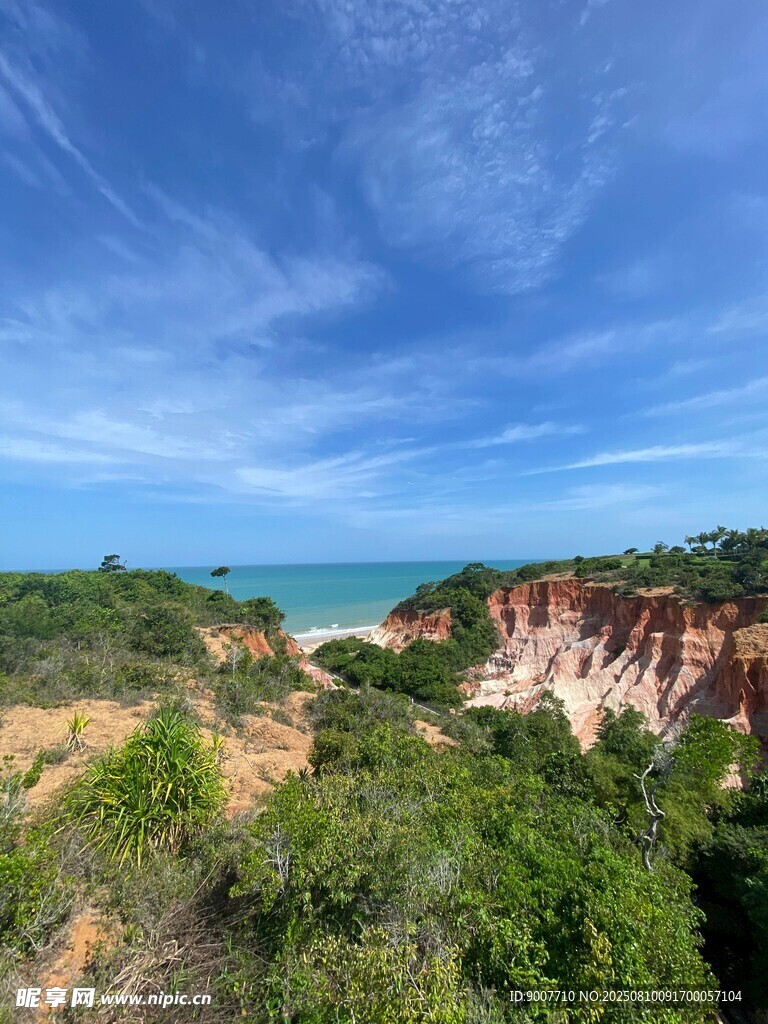 海岸边的翠绿植被与蓝天