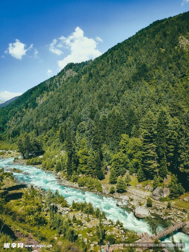 山间碧溪 绿意盎然的美景