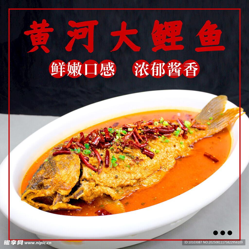 黄河大鲤鱼