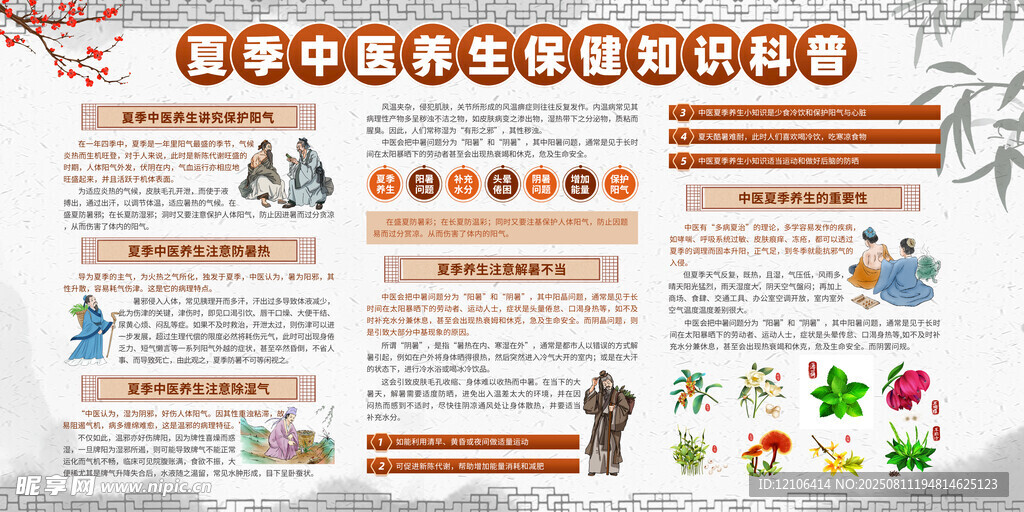 中医养生宣传栏