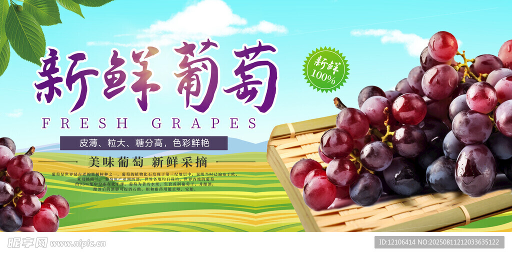 新鲜葡萄