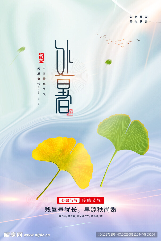 小暑时节银杏叶清新画面