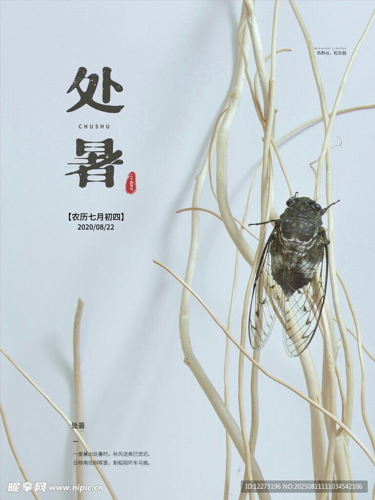 处暑时节的田野昆虫