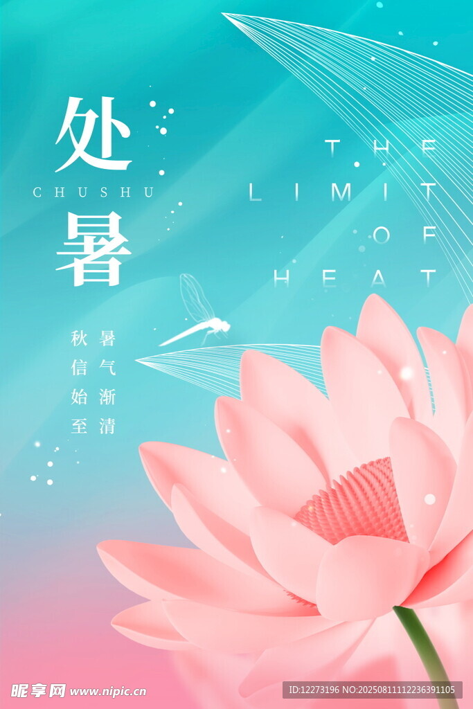 处暑时节的唯美荷花图景