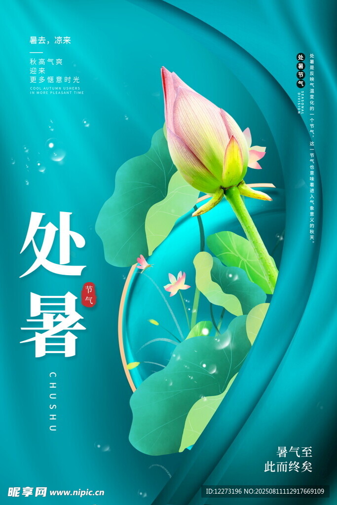 处暑时节荷花绽放美景