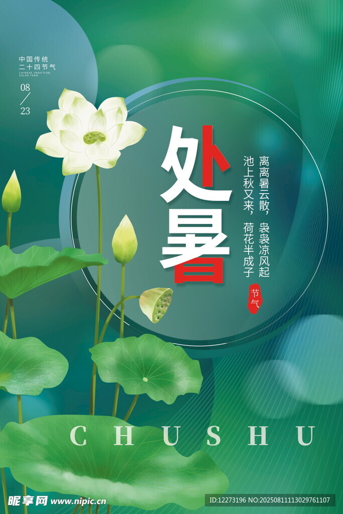 处暑时节荷花绽放美景