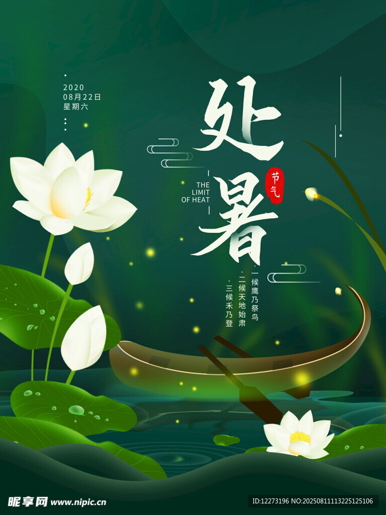 处暑时节荷花绽放美景