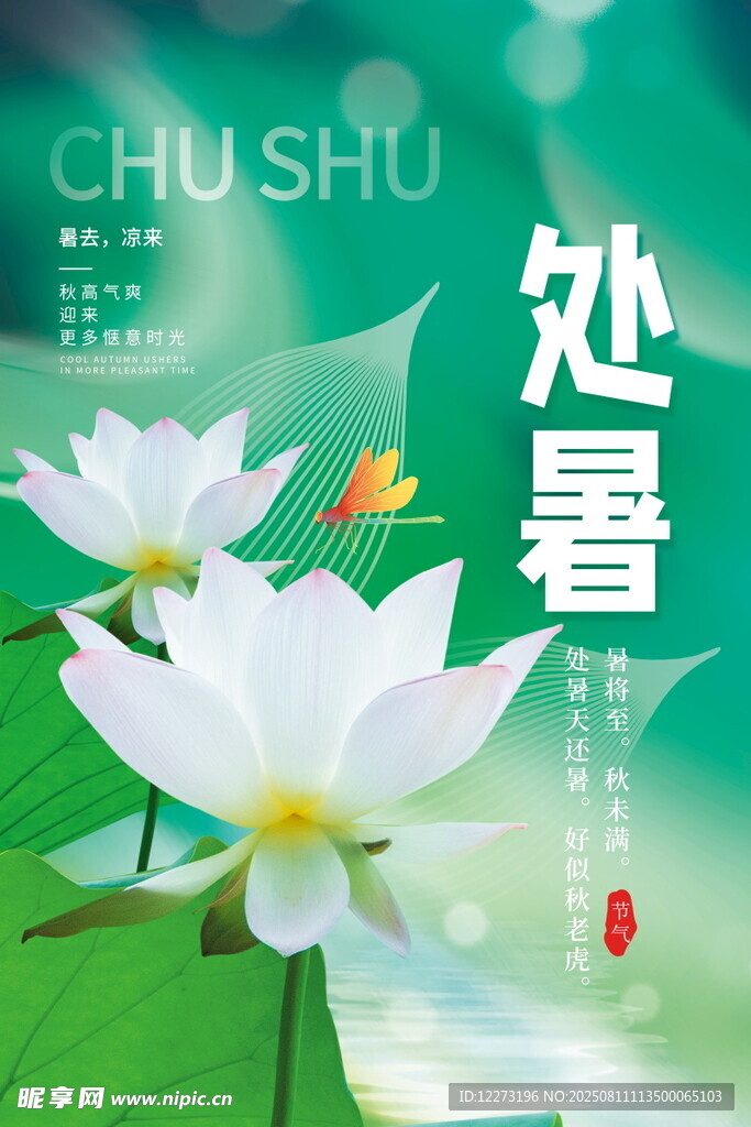 处暑时节的清雅荷花图