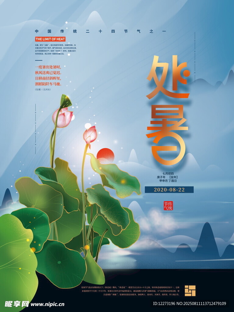 处暑时节荷花绽放图景