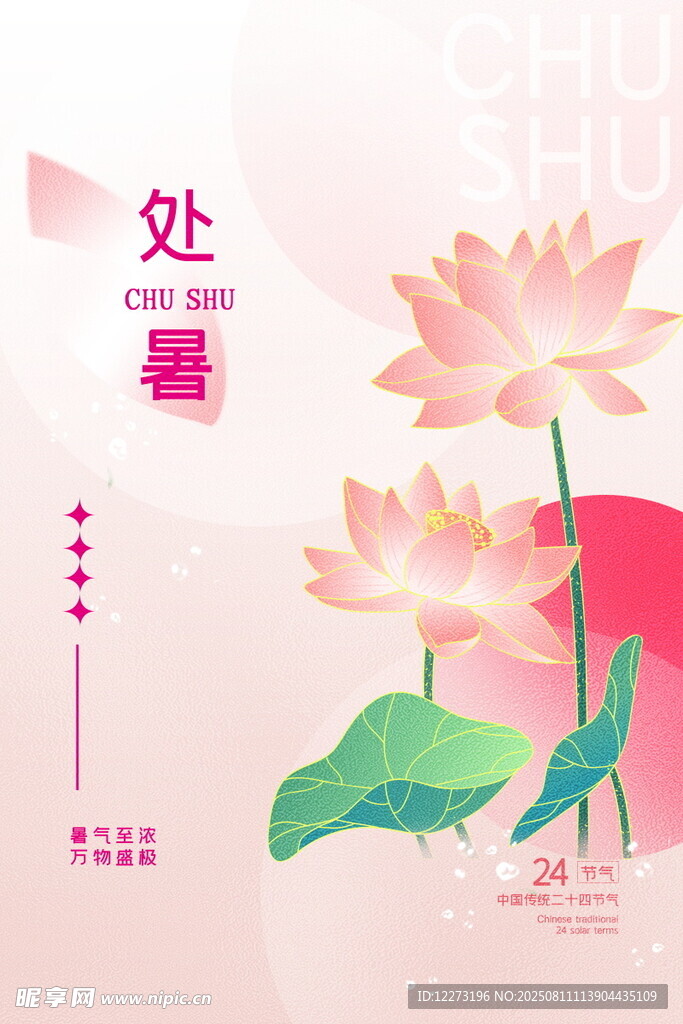 处暑时节荷花绽放