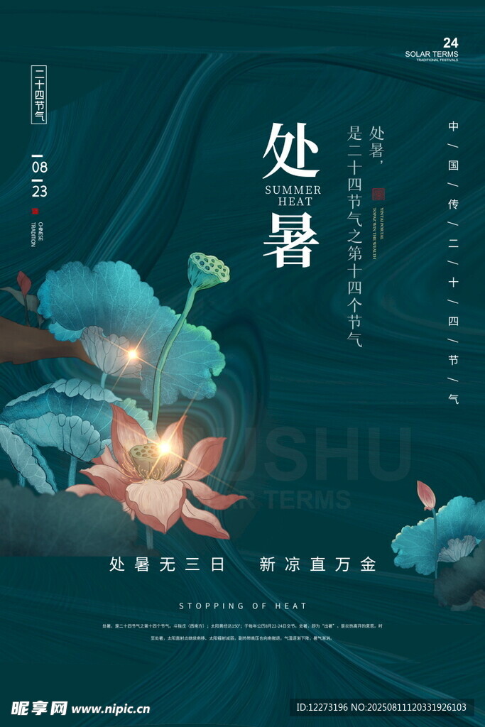 处暑时节荷花绽放图景