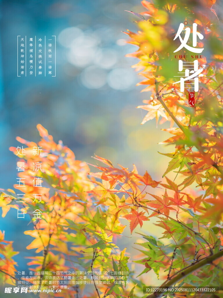 处暑海报