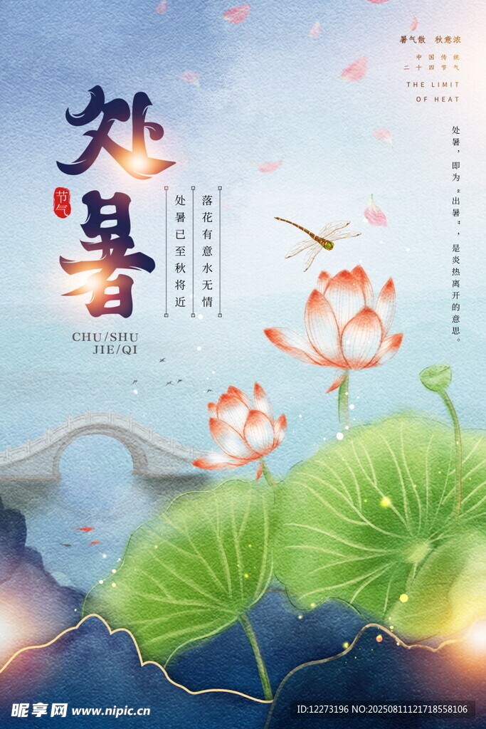 处暑时节荷花美景