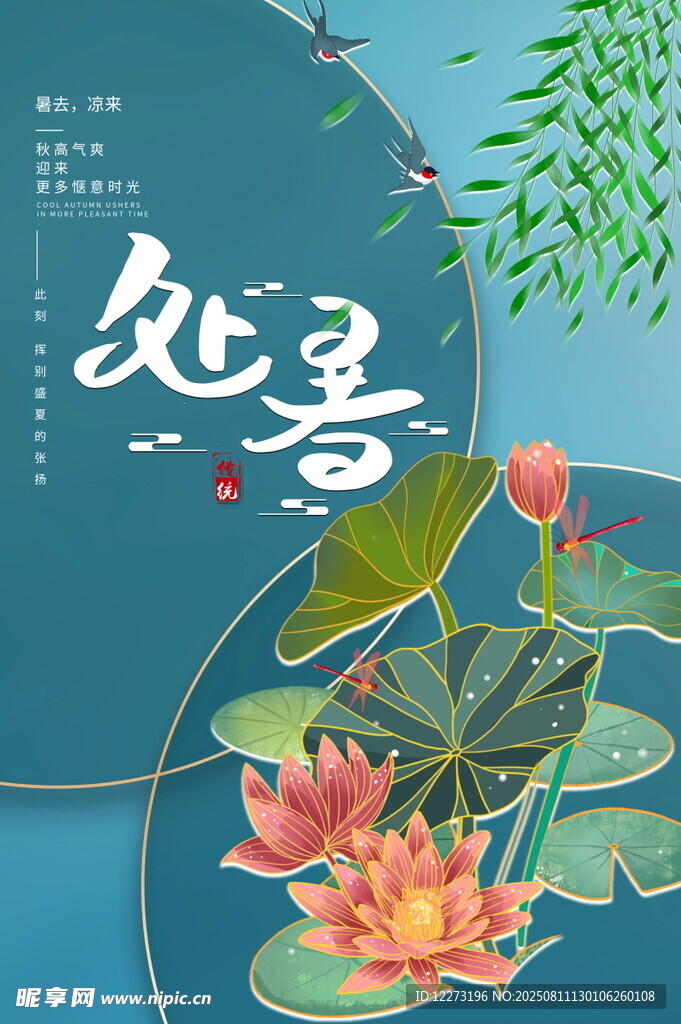 处暑时节荷花绽放美景