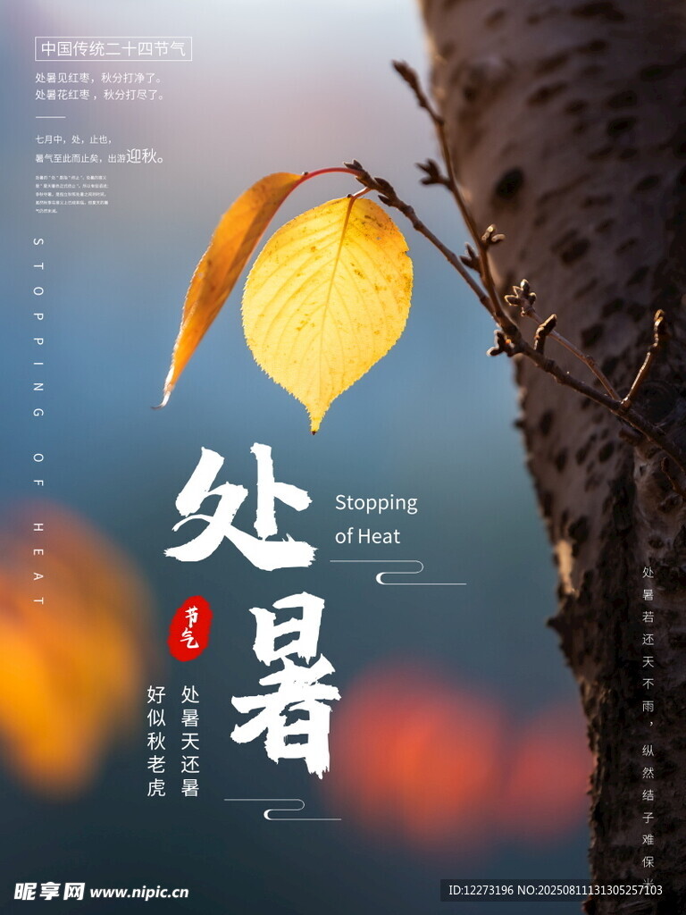 处暑时节黄叶挂枝头