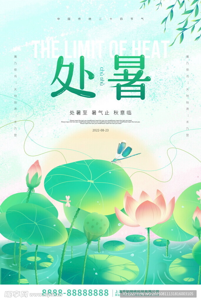 处暑时节荷花景致