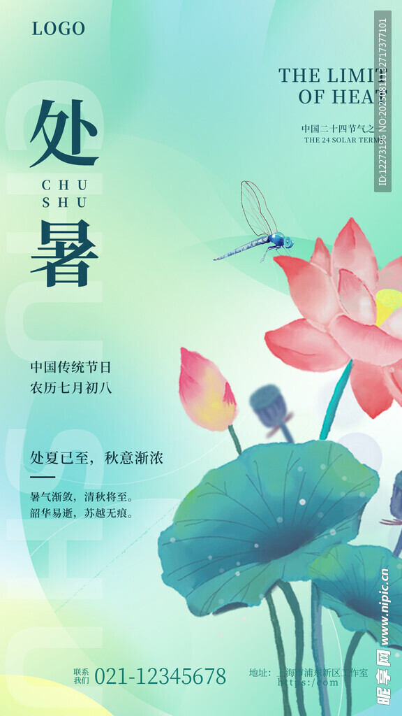 处暑时节荷花绽放美景