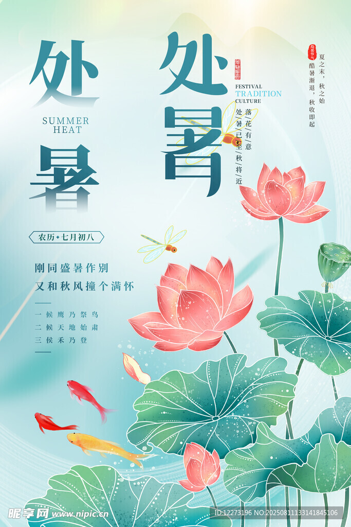 处暑时节荷花绽放图景