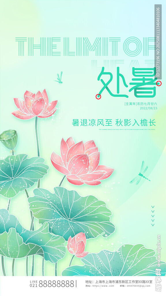 处暑时节荷花绽放
