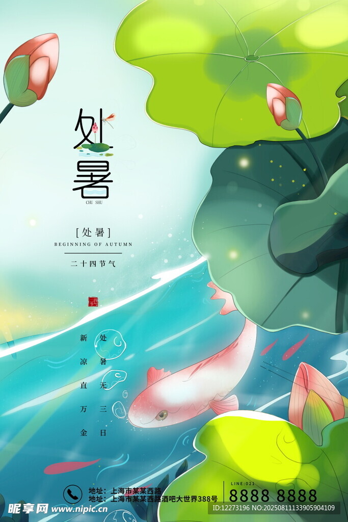 处暑时节锦鲤游于荷塘