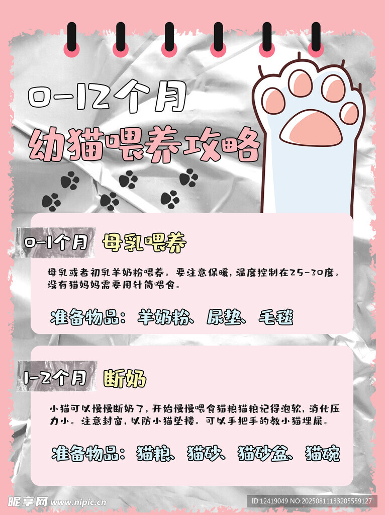 幼猫喂养攻略