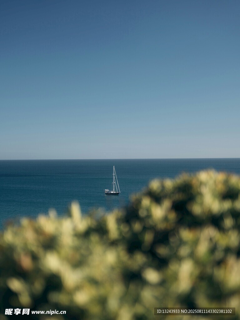 海边绿植与远处航行帆船