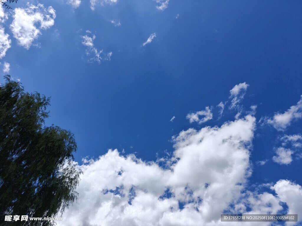 蓝天绿树间的白云美景
