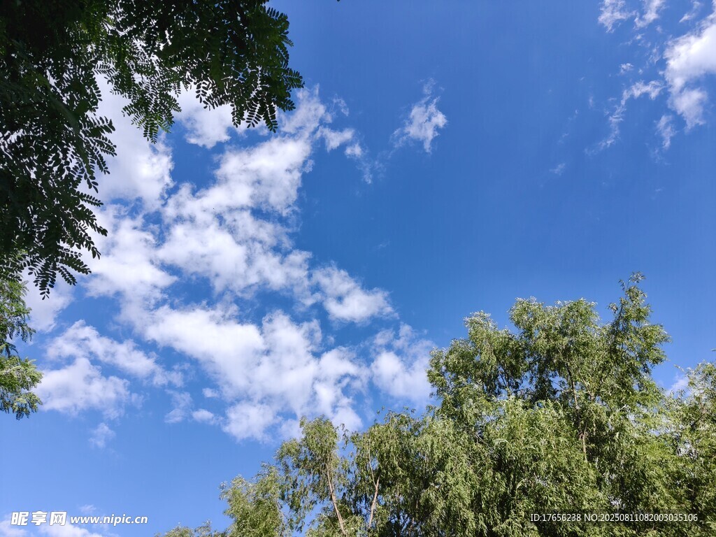 蓝天绿树间的白云美景