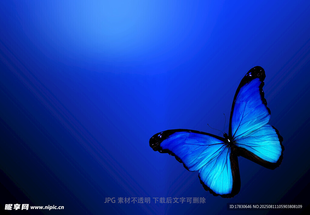 蓝色梦幻蝴蝶背景图