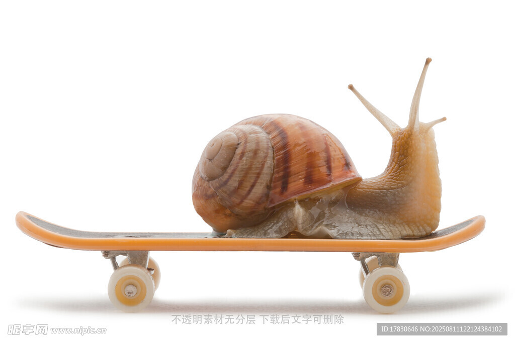 蜗牛
