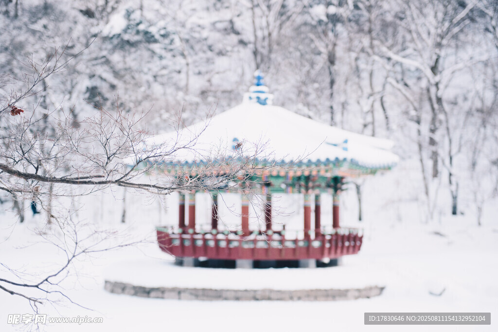 雪覆凉亭尽显冬日静谧