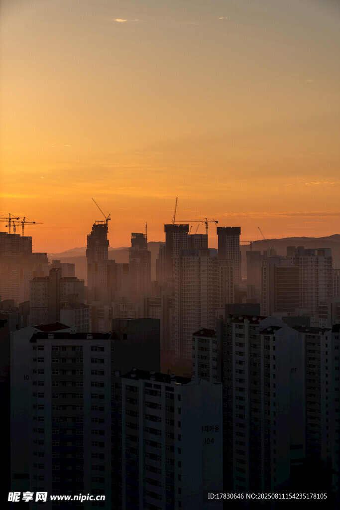 城市日出时的高楼景致